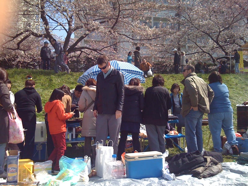Sakura01.jpg