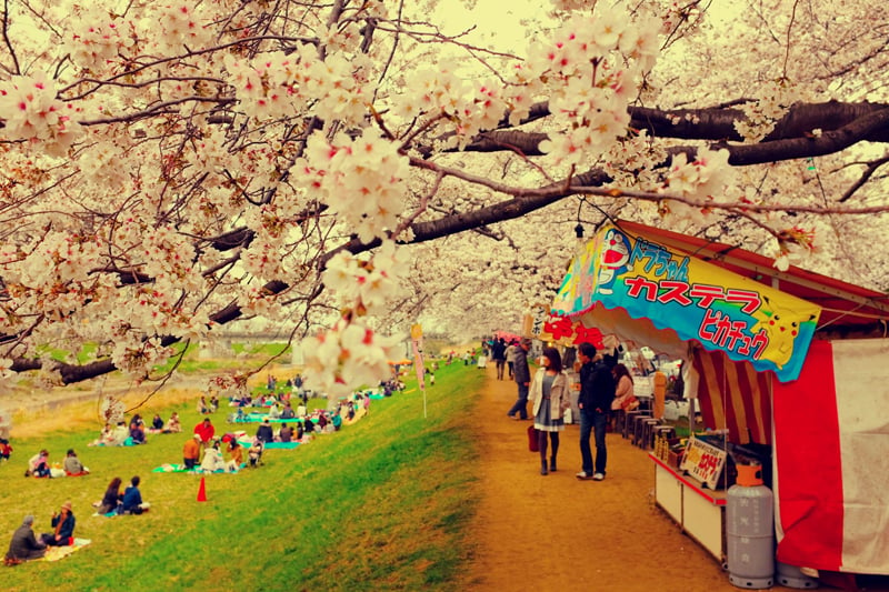Hanami01.jpg