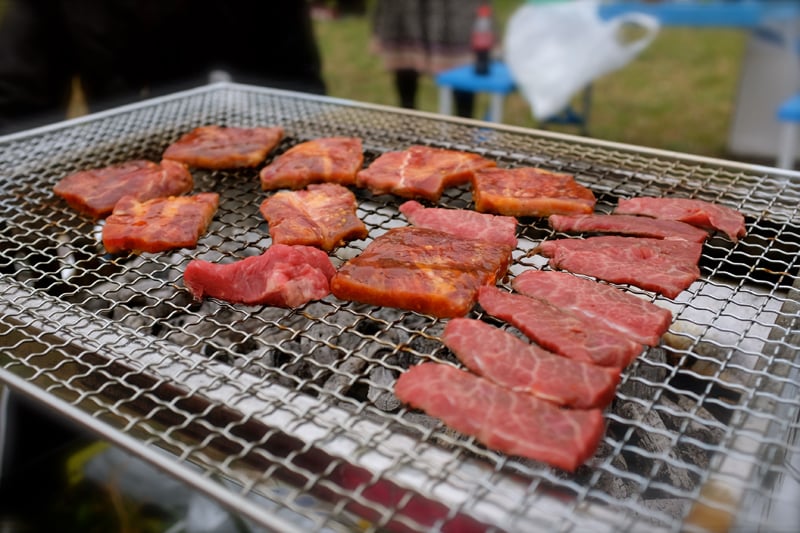 Hanami04.jpg