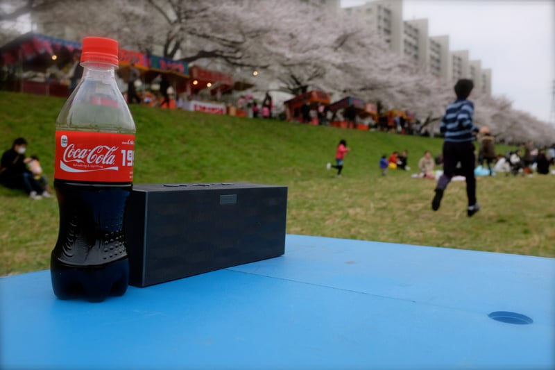 Hanami06.jpg