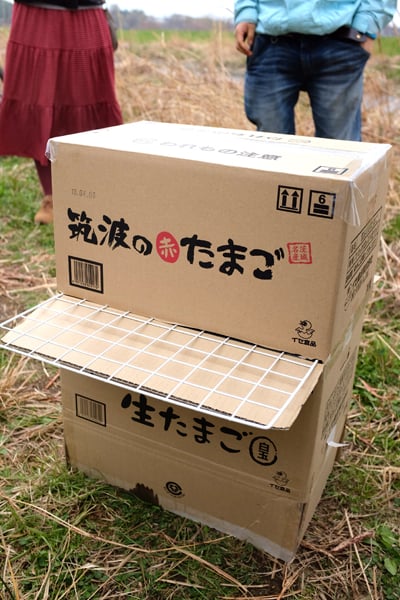 Hanami07.jpg