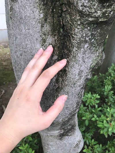 wood.JPG