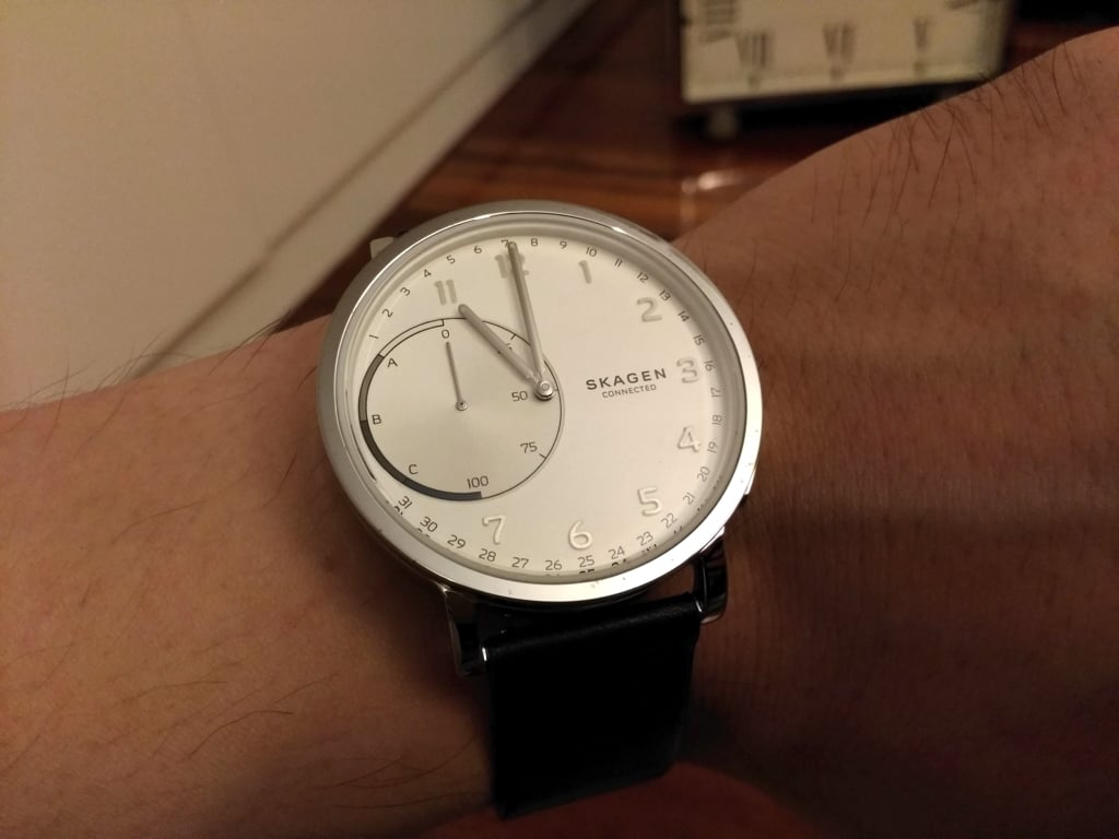 SKAGEN03.jpg
