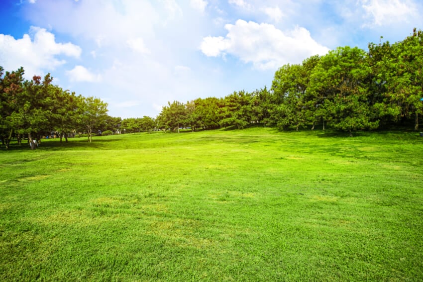 Field-with-grass-and-clouds.jpg