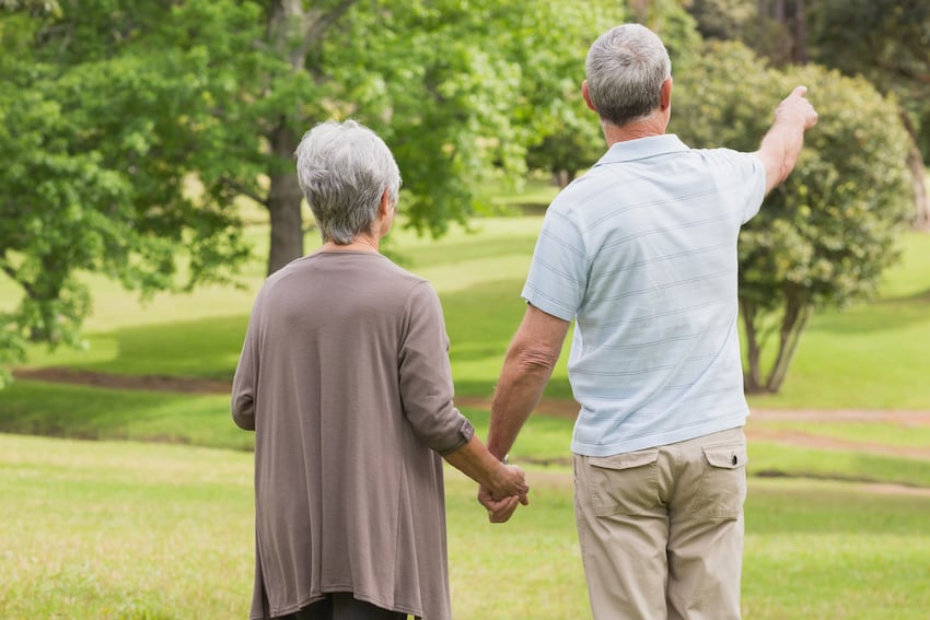 Rear-view-of-a-senior-couple-holding-hands-at-park.jpg
