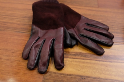 Gloves01.jpg