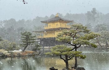 雪が思っていたより降っている中、年末年始に滋賀&京都に旅行をしたお土産話