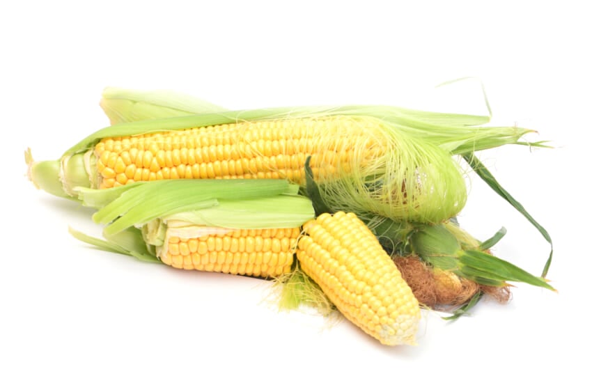 Fresh-corn.jpg