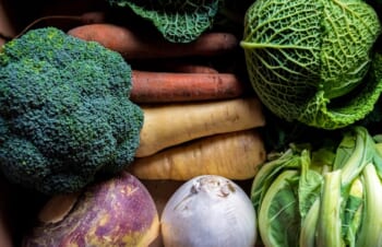 冬に食べるべき野菜とは？