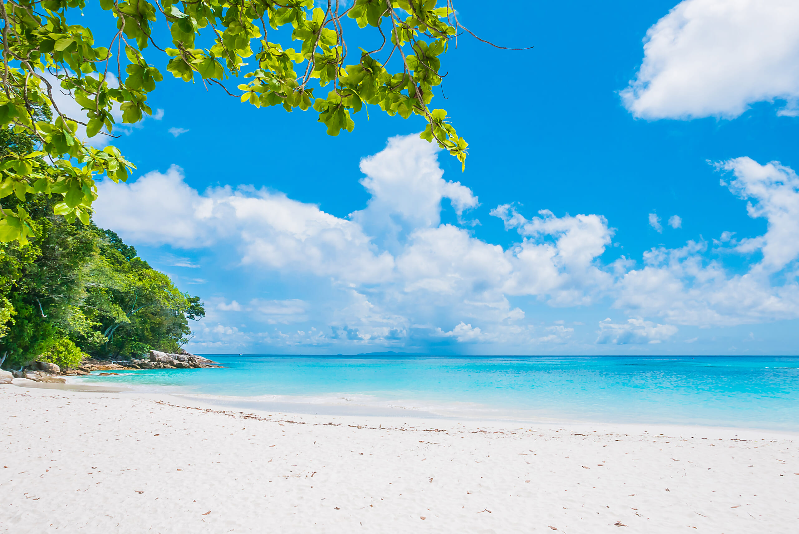 Beautiful-tropical-beach.jpg